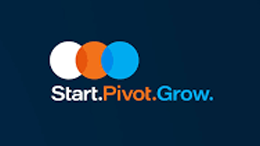 Start-Pivot-Grow-Grant-DreamSpring-Business-Resources