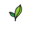 DreamSpring_ICON_Sprout_glow